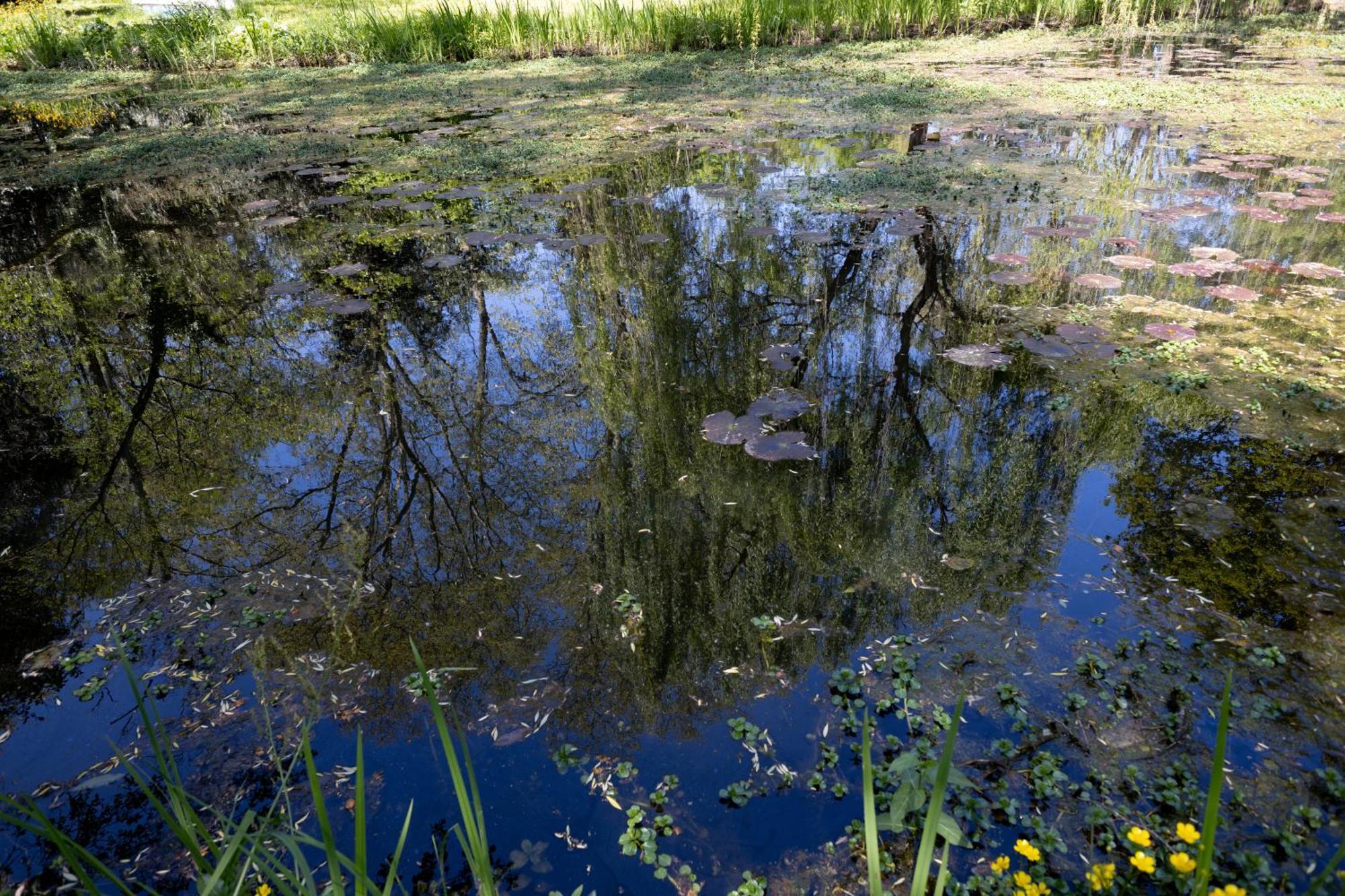 Il Casale Di Villa Rossi Lucca Dış mekan fotoğraf